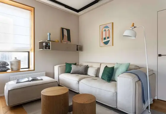 Living room inspiration – example 66